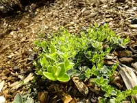 DSCF8201.webp