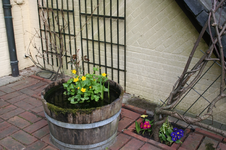 IMG_2755 - Kopie.webp