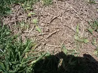 DSCF0197.webp