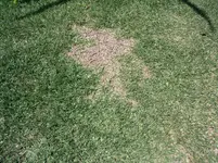 DSCF0198.webp