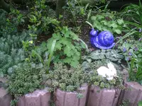 blaue Schnecke.webp