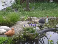 Ente und Elfe.webp