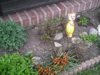 Lavendelkatze.webp