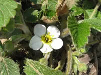 IMG_1804_1067x800.webp