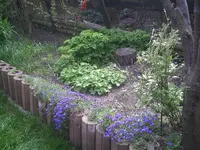 Beet hinten.17.04.2011.webp