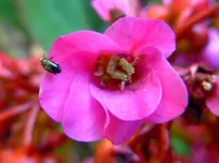 044.webp