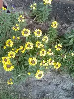 Bild004.webp