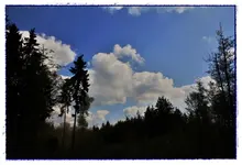 Himmlisch.webp