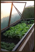 Hochbeet.webp