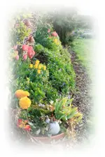 Terrassenbeet.webp