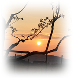 Sonne.webp