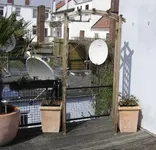 dt w1.webp dt w1.webp