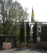 dt w2.webp dt w2.webp