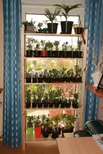 IMG_3106-17102010.webp