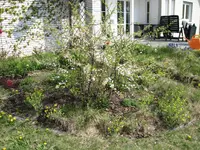 img_0330.webp