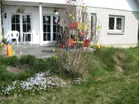 img_0335.webp