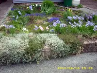 JD500401.webp