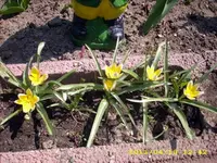 JD500402.webp