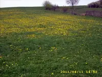 JD500351.webp