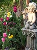 DSCF0130.webp
