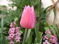 DSCF0123.webp
