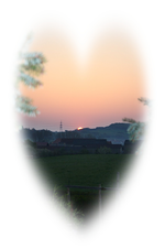 19.03 (3).webp