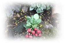19.03 (2).webp