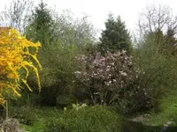 BILD0365.webp