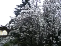 BILD0381.webp