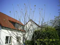 PIC_0040.webp
