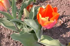 April3 2011 002.webp