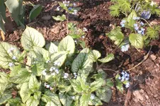 April3 2011 004.webp