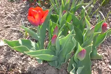 April3 2011 007.webp