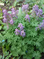 IMAG0174.webp