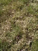 Foto111.webp