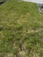Foto333.webp