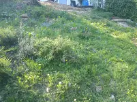 DSC00065.webp