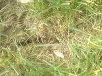 handy fotos 044.webp