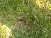handy fotos 045.webp