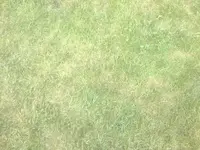 handy fotos 046.webp