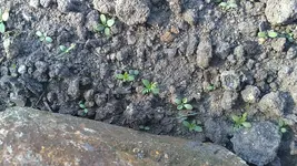 19042011025.webp