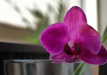DSC_1312.webp