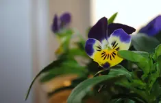 DSC_1340.webp