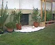 Palmbeach.webp
