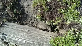19042011057.webp