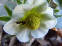 026.webp
