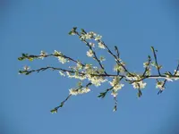 034.webp