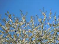 035.webp