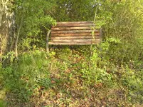 015.webp