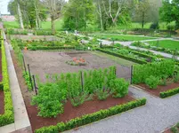 Vegetable Garden.webp